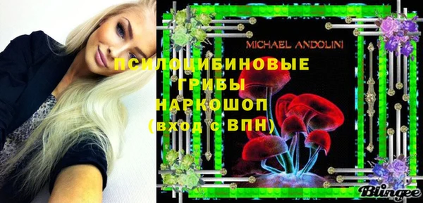 шишки Покровск