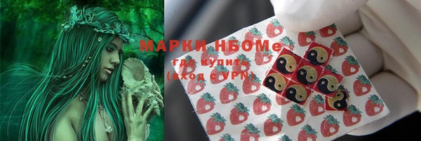 гашик Протвино